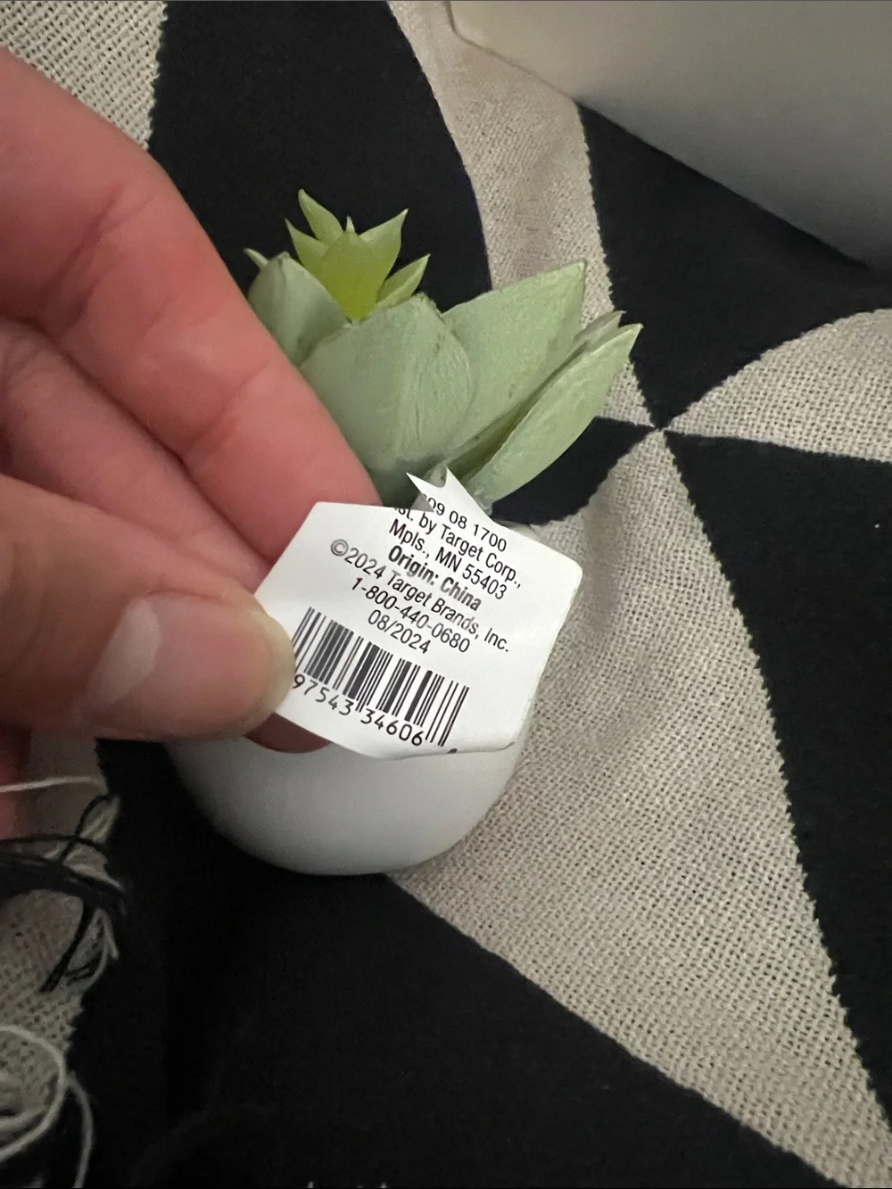 Artificial Succulent in White Ceramic Pot - Super Cute